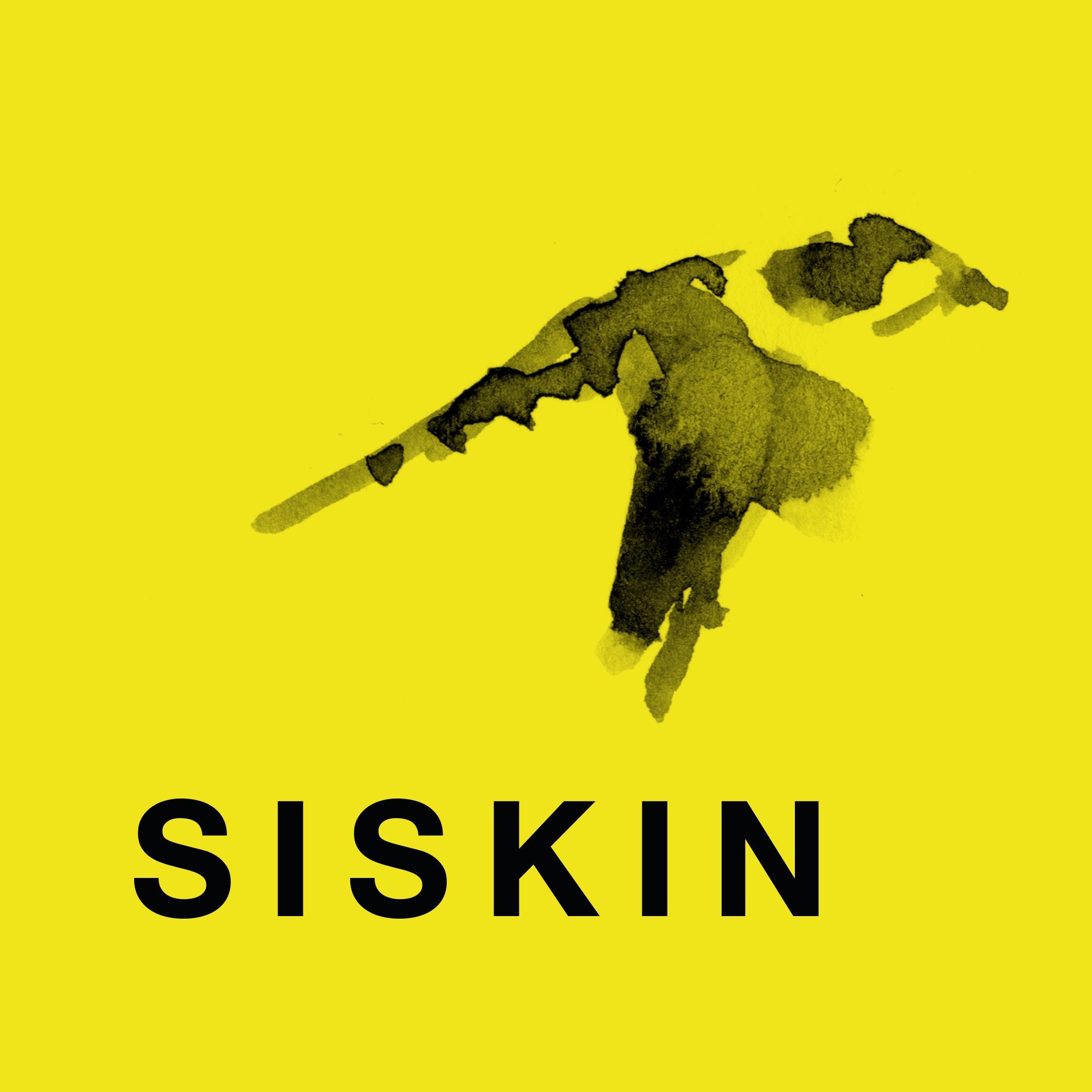 Siskin